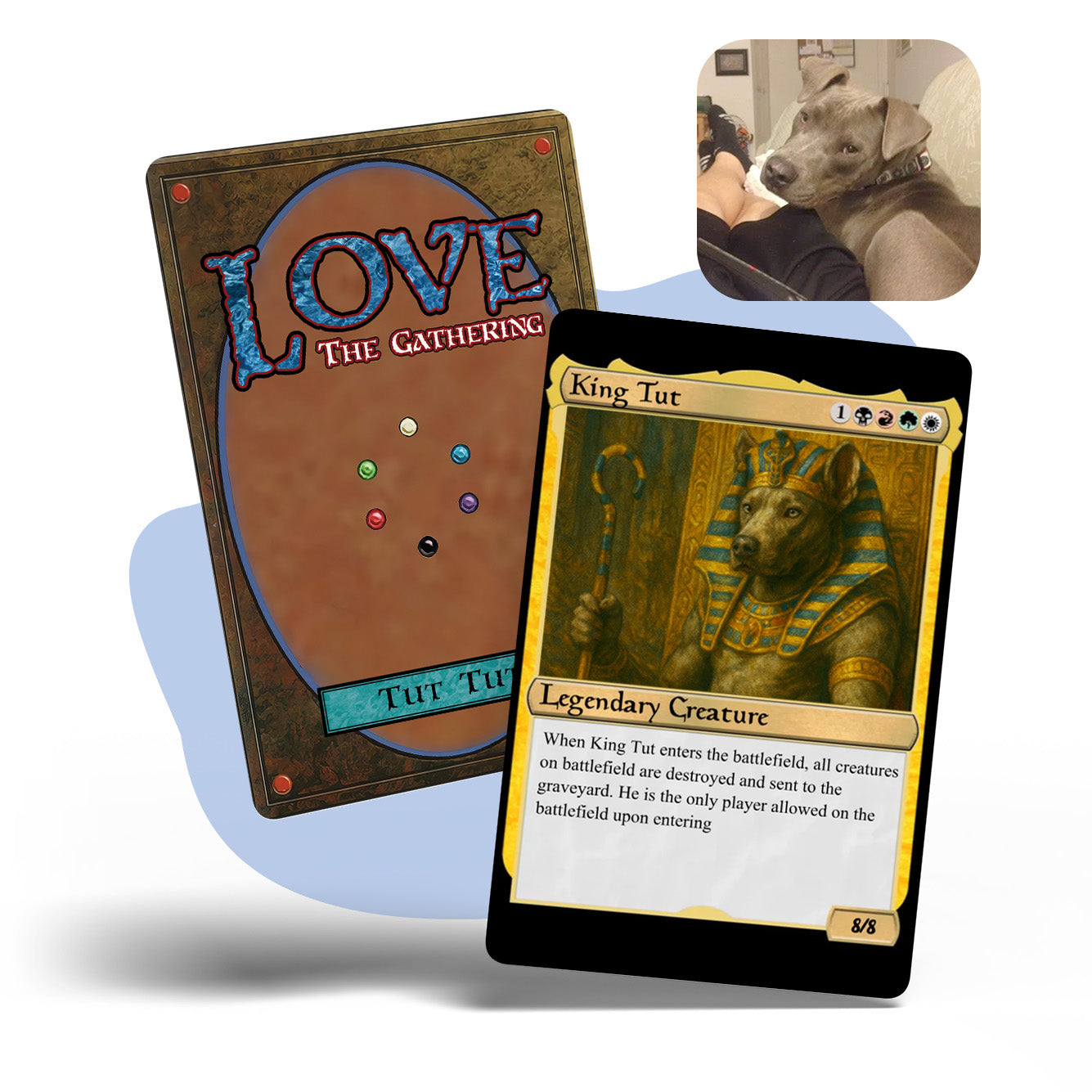 Pet The Gathering MTG Metal card